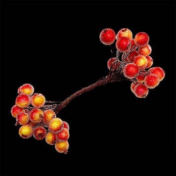 Гілочка штучної калини в цукрі для декору, цукрова калина, колір помаранчевий