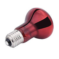 Лампа накаливания инфракрасная, для обогрева террариума, E27 50Вт PZZ