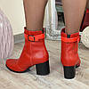 Черевики шкіряні на невисокому каблуці, декоровані лаковим ремінцем, фото 2