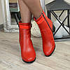 Черевики шкіряні на невисокому каблуці, декоровані лаковим ремінцем, фото 3