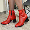 Черевики шкіряні на невисокому каблуці, декоровані лаковим ремінцем, фото 4