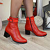 Черевики шкіряні на невисокому каблуці, декоровані лаковим ремінцем, фото 5