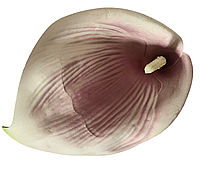 Калла искусственная Латексная бело-розовая (КОД W02-06) Ш - 7 см Д - 21 см (Польша)