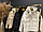 Куртка Жіноча Зимова Холлофайбер Рукави з еластичною гумкою (42-50) Amodeski - Це Мода та Стиль, фото 8