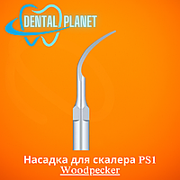 Насадка для скалера PS1