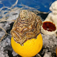 Устирка Фін де Клер No4 Франція