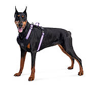 Шлея для собак безпечна WAUDOG Nylon з QR-паспортом, металева пряжка-фастекс, M, Ш 20 мм, А 45-70 см, В, фото 6