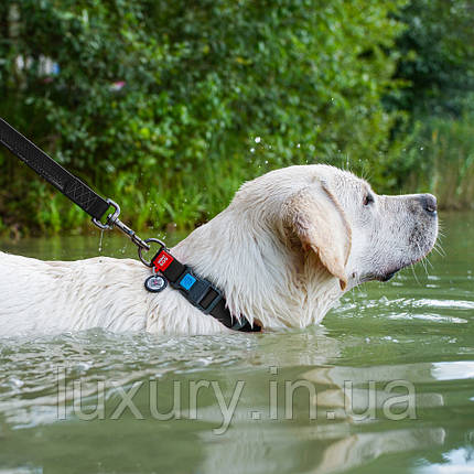 Нашийник для собак водостійкий WAUDOG Waterproof з QR-паспортом, пластикова пряжка-фастекс, Ш 25 мм, Д 38-58, фото 3
