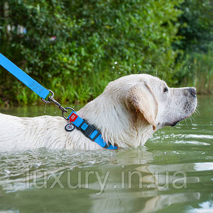 Нашийник для собак водостійкий WAUDOG Waterproof з QR-паспортом, пластикова пряжка-фастекс, Ш 25 мм, Д 38-58, фото 3