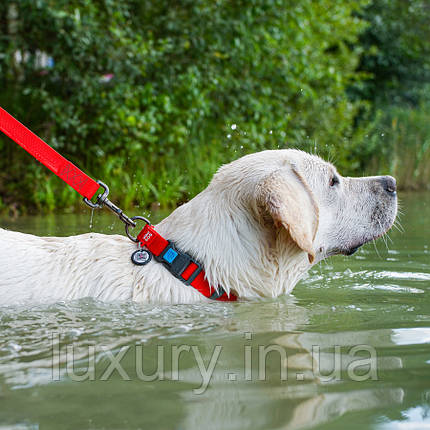 Нашийник для собак водостійкий WAUDOG Waterproof з QR-паспортом, пластикова пряжка-фастекс, Ш 25 мм, Д 38-58, фото 3