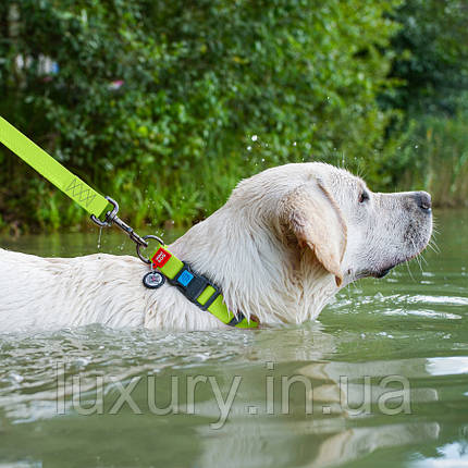Нашийник для собак водостійкий WAUDOG Waterproof з QR-паспортом, пластикова пряжка-фастекс, Ш 25 мм, Д 38-58, фото 3