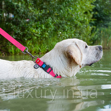 Нашийник для собак водостійкий WAUDOG Waterproof з QR-паспортом, пластикова пряжка-фастекс, Ш 25 мм, Д 38-58, фото 3
