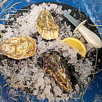 Устирка Сантинель No2 Франція