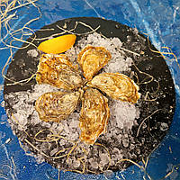 Устриця Сан Мішель №4 Франція