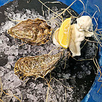 Устриця Остра Регал №3 Франція