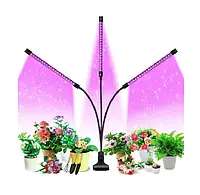 Фитолампа/светильник для выращивания растений FITOLAMP количество веток 3