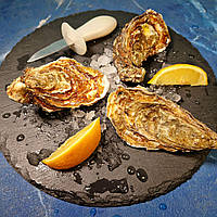 Устриця Сан Васт №1 Франція