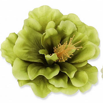 Головка Хібіскуса штучна Д=12 см, В=5 см ⁇  Колір — капучино  ⁇ Виробник — Польща ⁇  Упаковка — 12 шт.