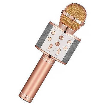 Бездротовий караоке мікрофон Wster WS-858 для вокалістів-початківців