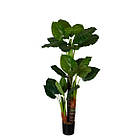 Штучна рослина Engard Taro 170см (DW-06)