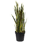 Штучна рослина Engard Sansevieria 92см (DW-12)