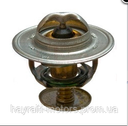 2485613 Термостат