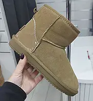 UGG Brown New (Лаковый Задник) 36