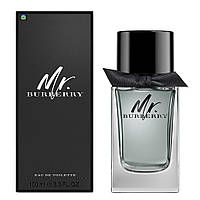 Туалетна вода чоловіча Burberry Mr. Burberry 100 мл (Euro)