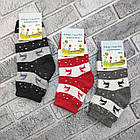 Шкарпетки дитячі середні зимові з махрою р.20-22 олені асорті ЖИТОМИР 30038436, фото 2