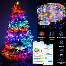 Світлодіодна вулична LED гірлянда Smart Bluetooth APP USB RGB Color 10M / 100LEDs, фото 3