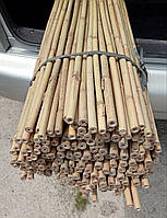 Опора для рослин бамбукова L 1,8 м д. 14-16мм.
