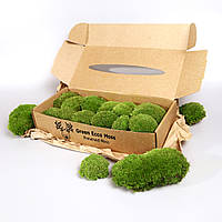 Стабілізований мох Green Ecco Moss купина Світло Зелений - Light GREEN 0,5 кг