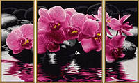 Художній творчий набір-триптих 'Орхідеї', 50х80 см, 12+