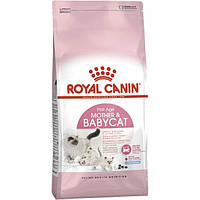 Сухой корм для котят Royal Canin Mother Babycat 400 г (2544004) VK, код: 7479798