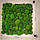 Стабілізований мох Green Ecco Moss купина зелений 0,5 кг., фото 5