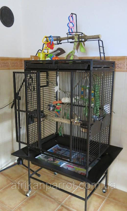 Вол'єр для папуг 66*51*163 (King's Cages)