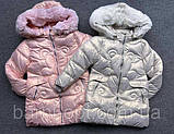 Куртки для дівчаток від європейського бренда "Glo-story".

Розмірний ряд:  4, 12, 14  років., фото 2