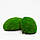 Стабілізований мох Green Ecco Moss купина зелена 1 кг, фото 2