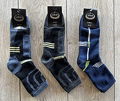 Дитячі махрові шкарпетки з бавовни хлопчикам тм Еко  р21-23 (11-13)