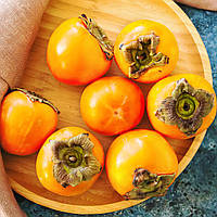 Саджанці хурми Гора Роман Кош - середня, морозостійка, крупноплідна С1