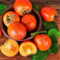 Саджанці хурми Костата - пізня, морозостійка, самоплідна С1