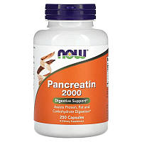 Панкреатин NOW Foods "Pancreatin 2000 - 10X" 200 мг, способствует пищеварению (250 капсул)