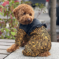 Зимний теплый комбинезон для собак, модель для девочек с закрытым животиком, разные цвета
