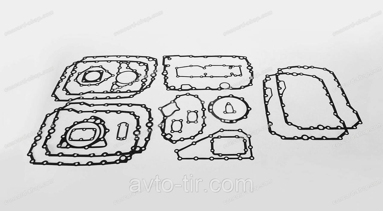 Набір прокладок КПП ZF, фото 1