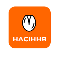 Насіння