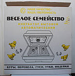 Інкубатор веселе сімейство 2т, фото 3