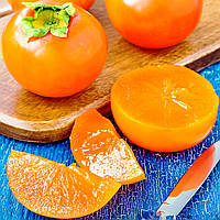 Саджанці хурми Дар Софіївки - рання, морозостійка, самоплідна С1