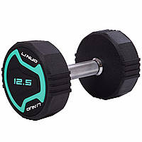 Гантель суцільна професійна (1 шт) LI NUO TA-3614-12_5 1 шт 12.5 кг