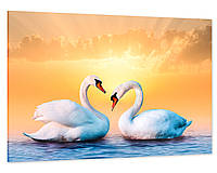Картина холст / спальню Пара Лебедів MLP_9 50x100 см