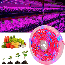 Фітолента для саджанців 5V USB 5 м, фото 1